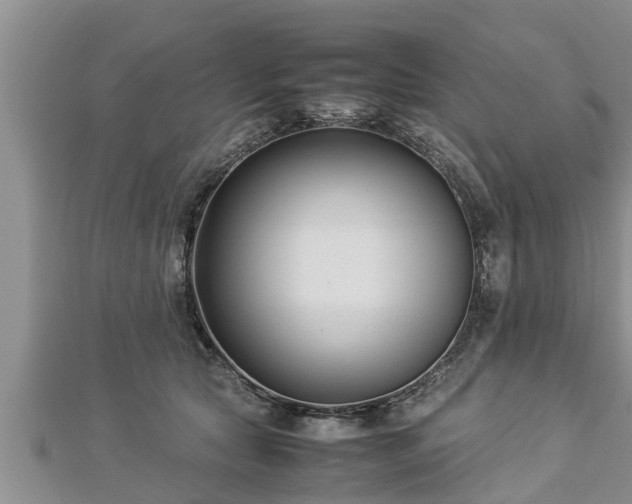 X0000112790561200908281509