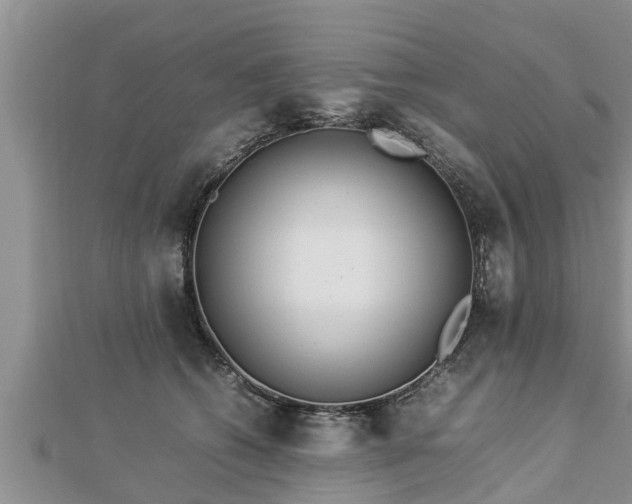 X0000112790562200908281509