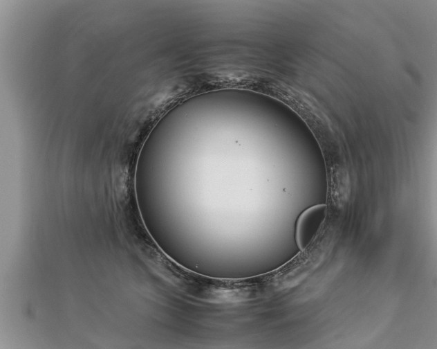 X0000112790563200908281509