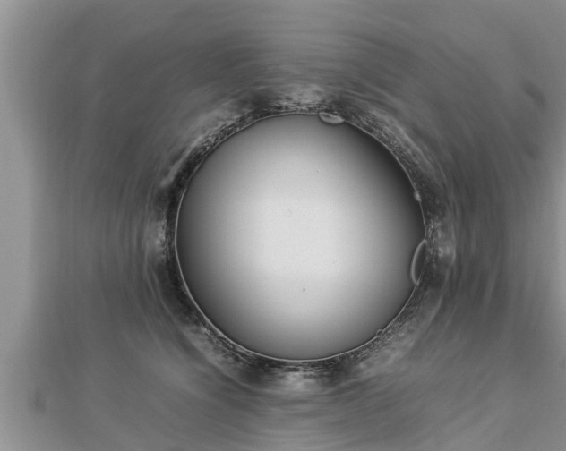 X0000112790564200908281509