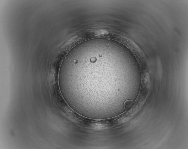 X0000112790565200908281509