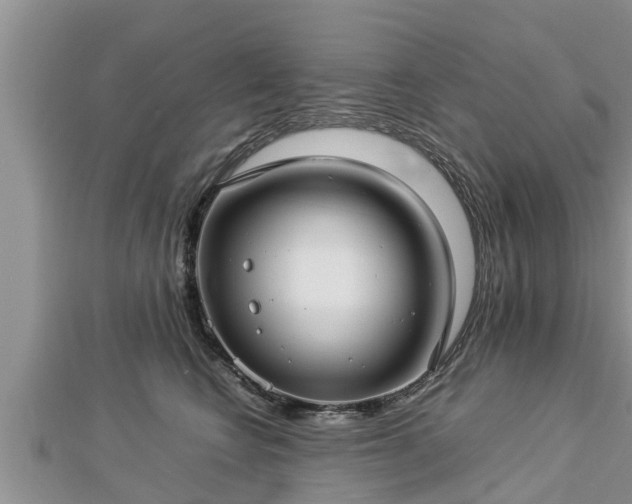 X0000112790566200908281509