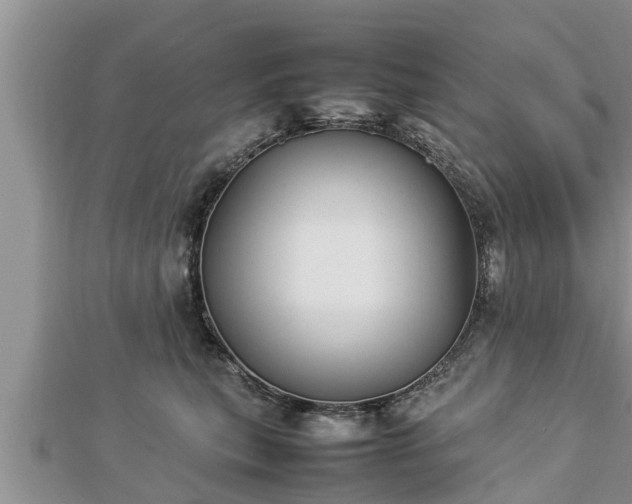 X0000112790567200908281509