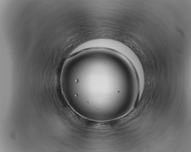 X0000112790568200908281509