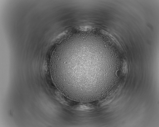 X0000112790569200908281509