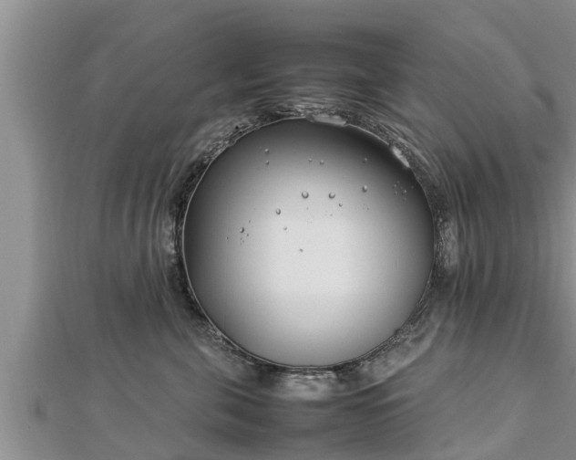 X0000112790571200908281509