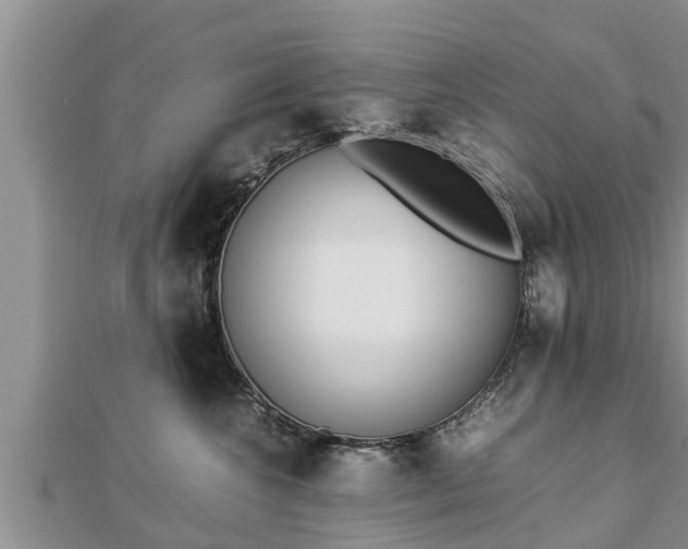 X0000112790572200908281509