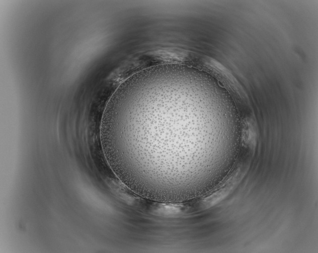 X0000112790573200908281509