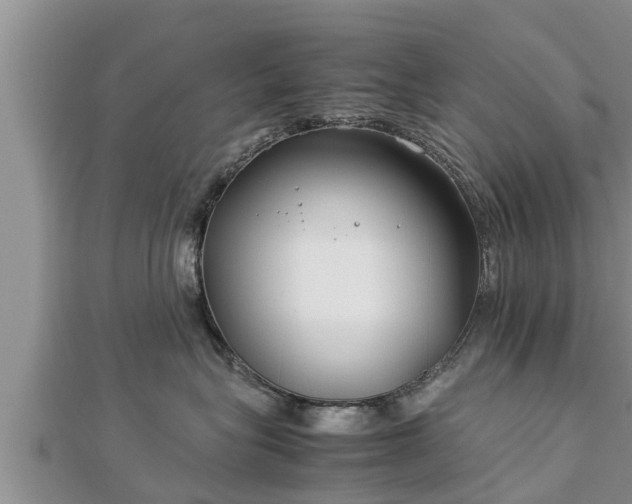 X0000112790575200908281509