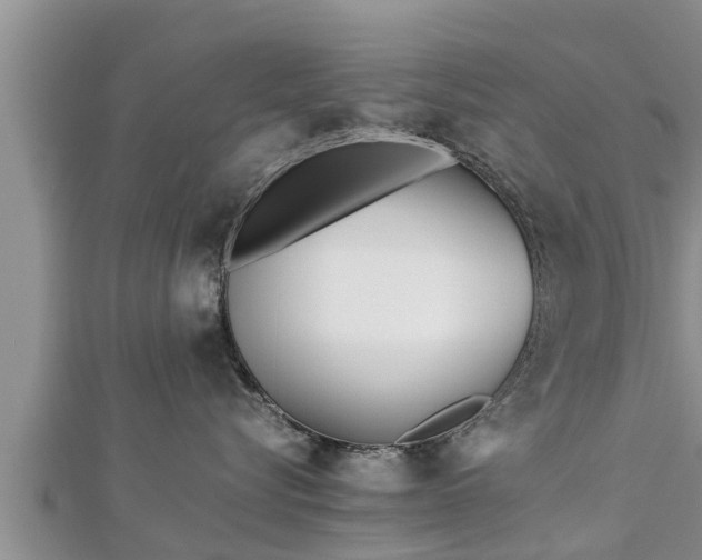 X0000112790576200908281509