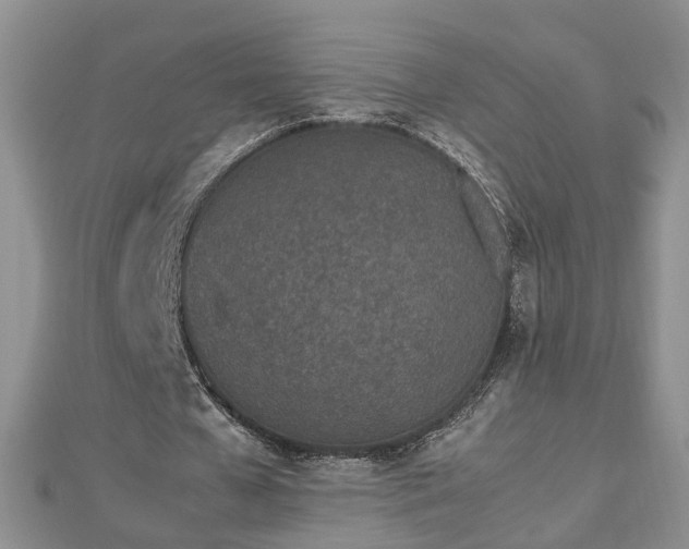 X0000112790577200908281508