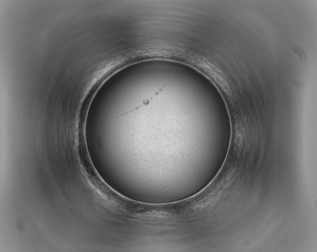 X0000112790578200908281508