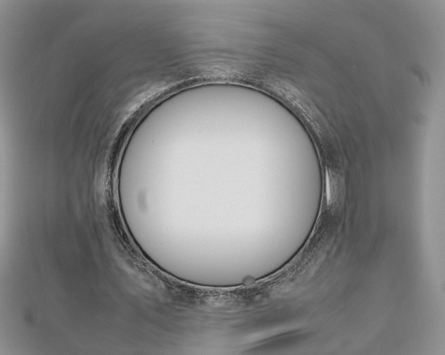 X0000112790579200908281508