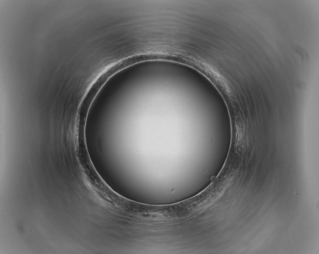 X0000112790580200908281508