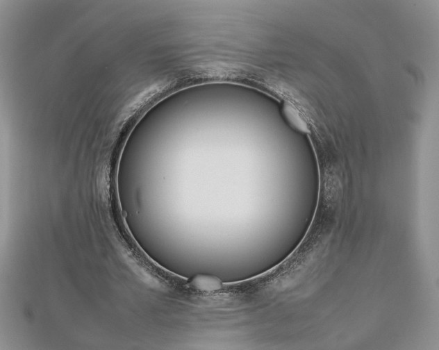 X0000112790581200908281508