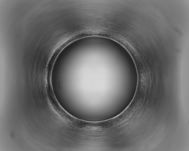 X0000112790582200908281508