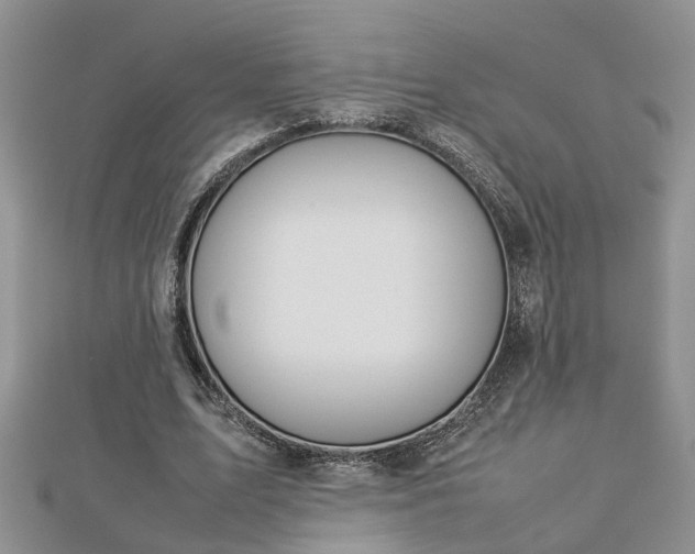 X0000112790583200908281508