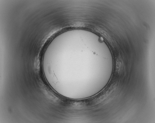 X0000112790584200908281508