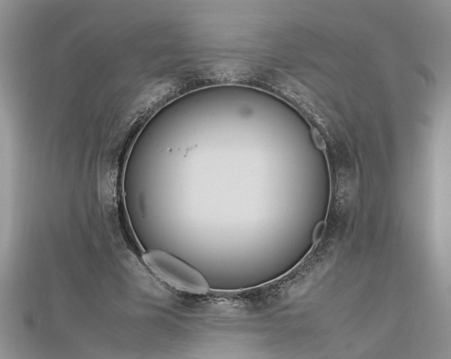 X0000112790585200908281508