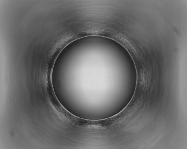 X0000112790586200908281508