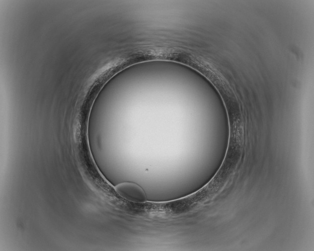 X0000112790587200908281508