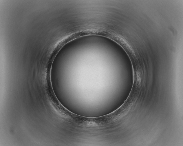 X0000112790588200908281508