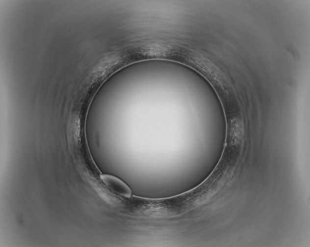 X0000112790589200908281508