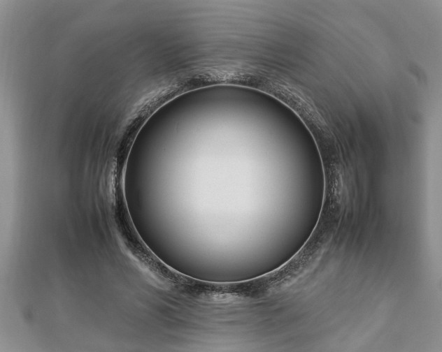 X0000112790590200908281508