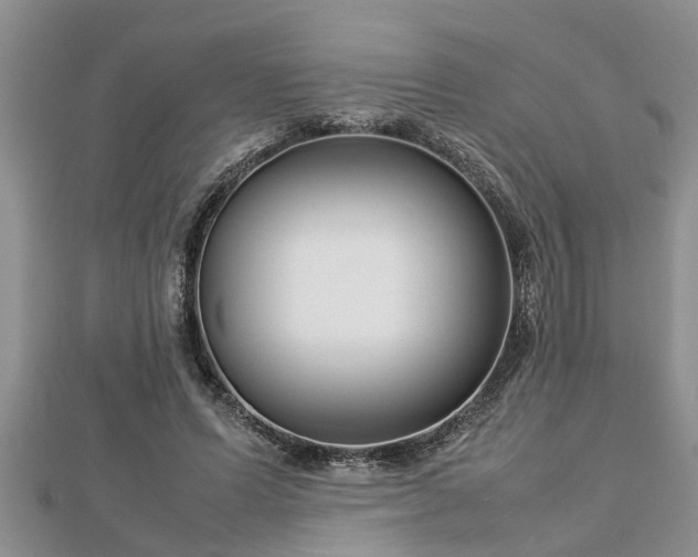 X0000112790591200908281508