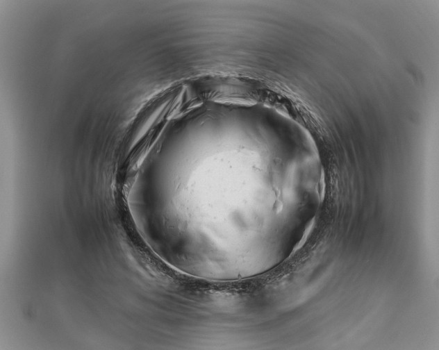 X0000112790592200908281508