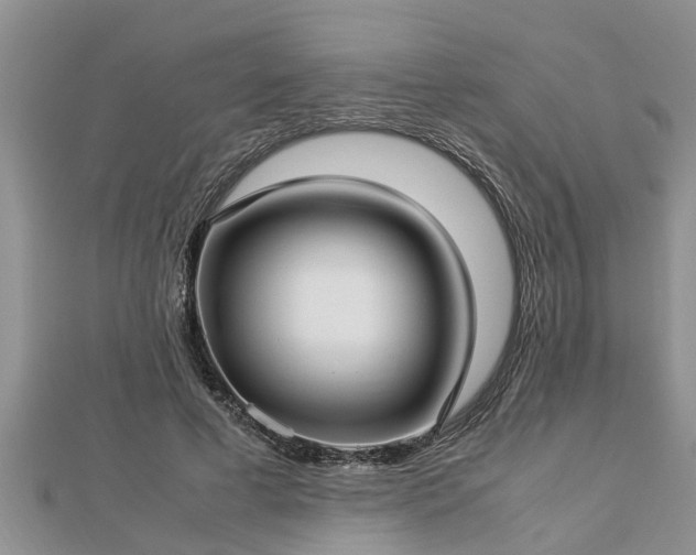 X0000112790593200908281508