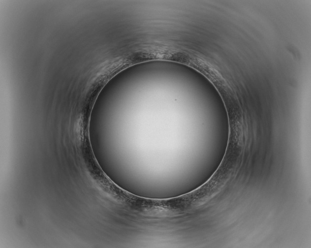 X0000112790594200908281508