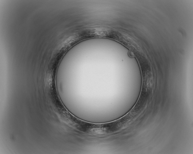 X0000112790595200908281508