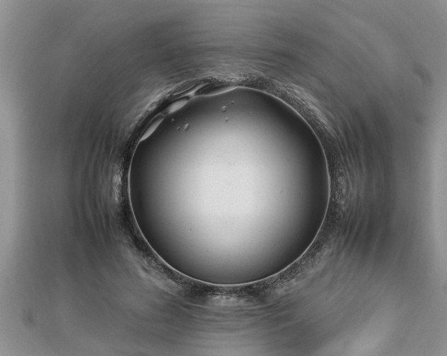 X0000112790596200908281508