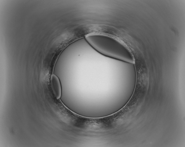 X0000112790597200908281508