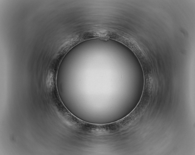 X0000112790598200908281508