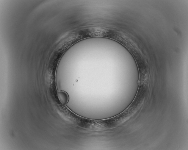 X0000112790599200908281508