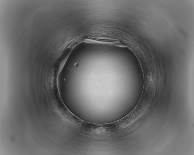 X0000112790600200908281508