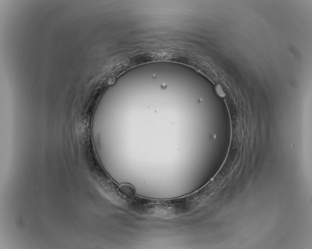 X0000112790601200908281508