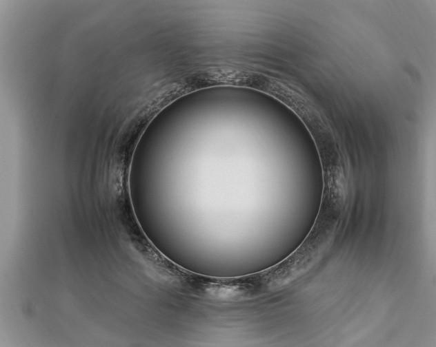 X0000112790602200908281508