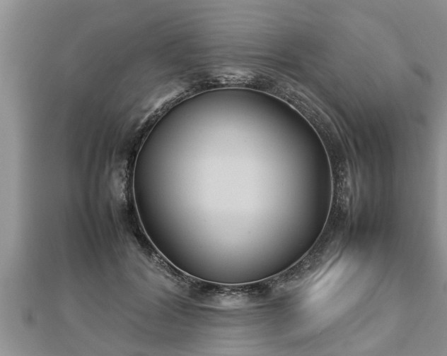 X0000112790604200908281508