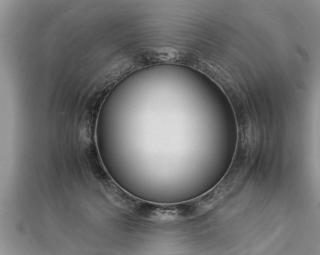 X0000112790606200908281508