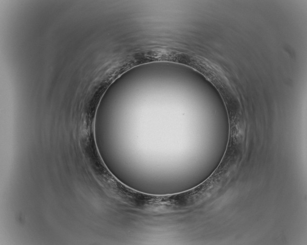 X0000112790607200908281508