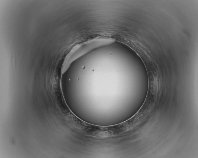 X0000112790608200908281508