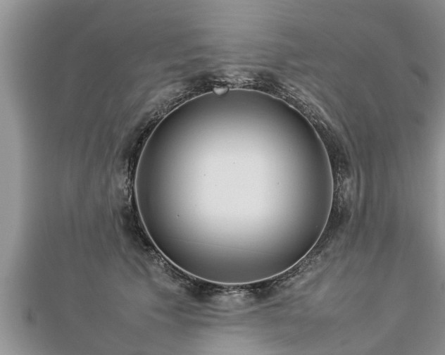 X0000112790609200908281508