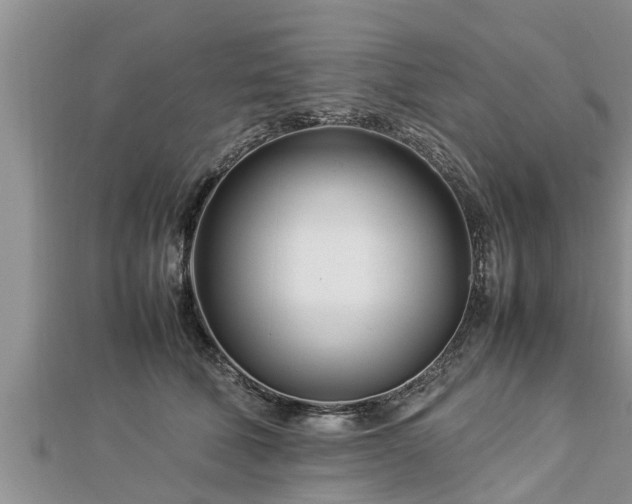 X0000112790610200908281508