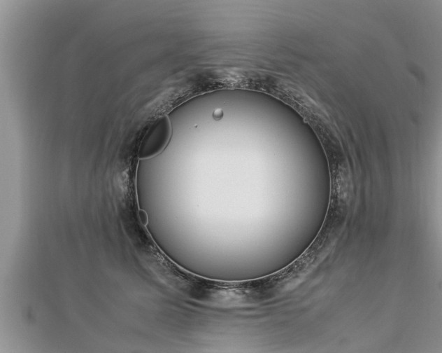 X0000112790611200908281508