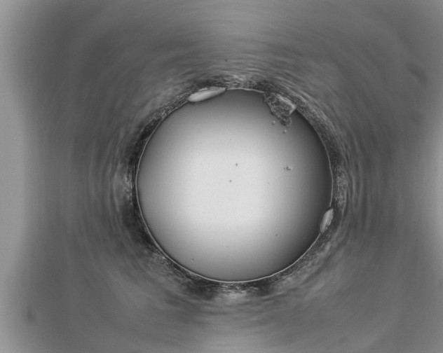 X0000112790613200908281508