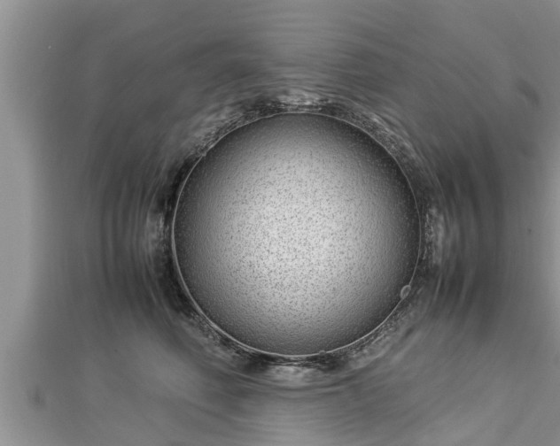 X0000112790614200908281508