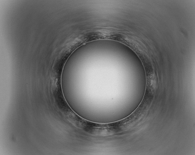 X0000112790615200908281508